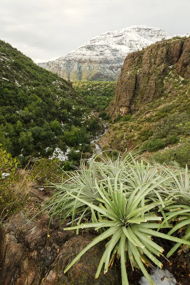 sendero el toyo 3