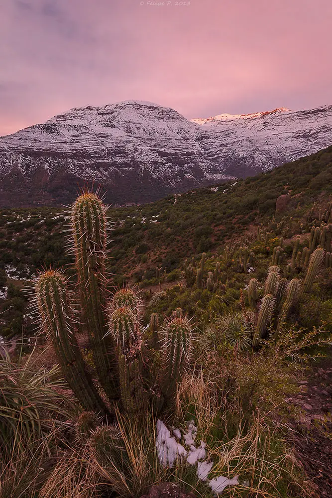 sendero el toyo 4